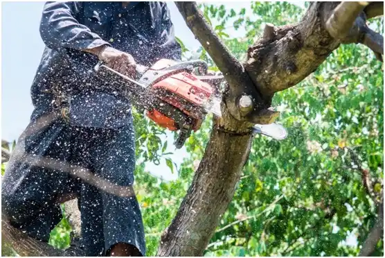 tree services Lebanon South